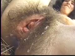 The world's hairiest cleft belongs to my elderly, pale-skinned, unfaithful wife.